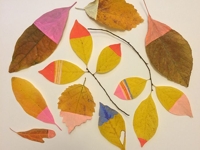 Emily Isabella Painted Leaves